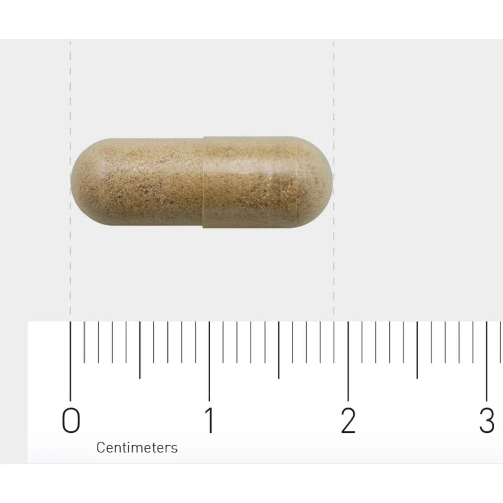 AOV 834 Bacopa (Brahmi) 6 AOV 834 Bacopa (Brahmi) - Afbeelding 4