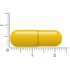 Vitakruid Berberine 500 Rebersa -Verzorgingsproducten 1029807 4