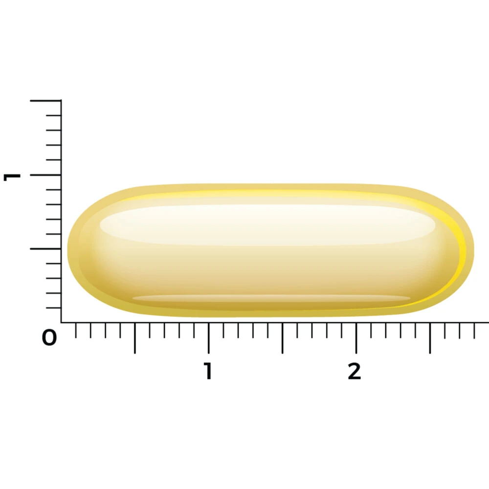 Vitakruid Borage Olie 6 Vitakruid Borage Olie - Afbeelding 4