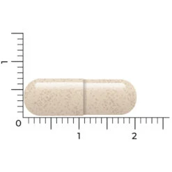 Vitakruid Ashwagandha Ksm -Verzorgingsproducten 1057979 5