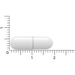Vitakruid Lactase Optiferm 3000 Fcc 11 Vitakruid Lactase Optiferm 3000 Fcc -Verzorgingsproducten 1058191 5