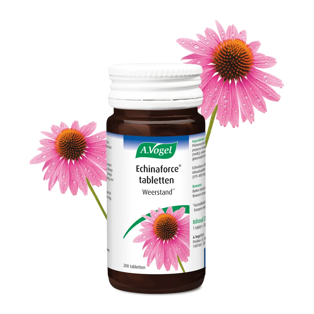A.Vogel Echinaforce Weerstand 4 A.Vogel Echinaforce Weerstand - Afbeelding 2
