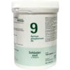 Pfluger Schussler Zout Nr 9 Natrium Phosphoricum D6 -Verzorgingsproducten 925926