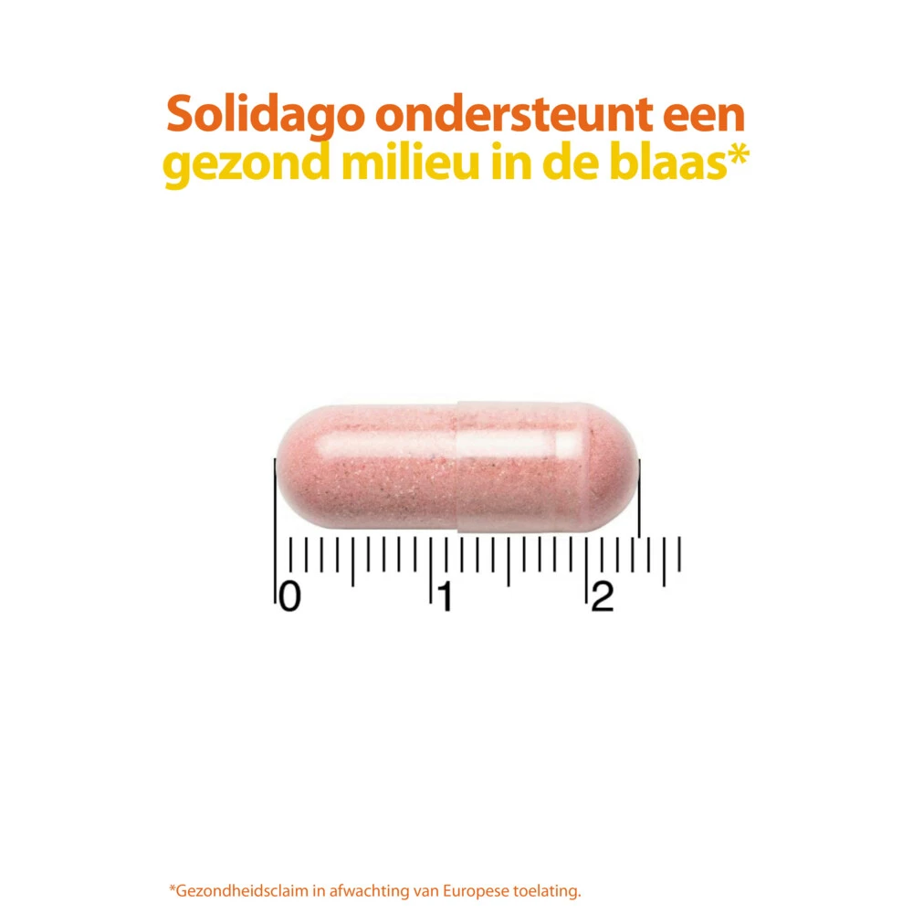 2x Roter Cystiberry 6 2x Roter Cystiberry - Afbeelding 4