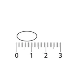 Lucovitaal CBD Cannabidiol 5 Mg -Verzorgingsproducten 987214 3